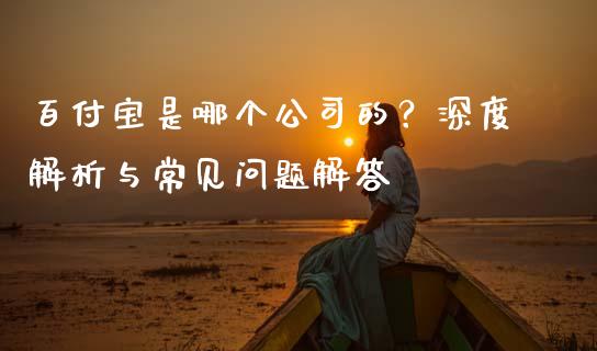 百付宝是哪个公司的？深度解析与常见问题解答_https://www.qdlswl.com_直播_第1张