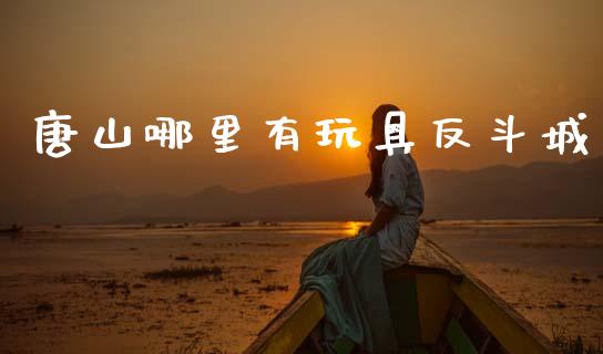 唐山哪里有玩具反斗城_https://www.qdlswl.com_股票_第1张