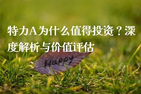特力A为什么值得投资？深度解析与价值评估_https://www.qdlswl.com_期货_第1张
