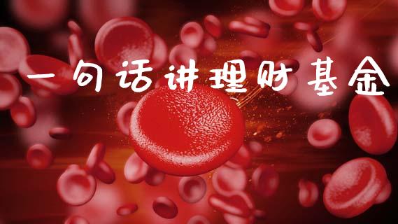 一句话讲理财基金_https://www.qdlswl.com_基金_第1张