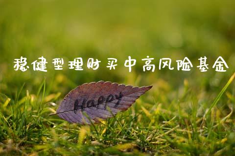 稳健型理财买中高风险基金_https://www.qdlswl.com_基金_第1张