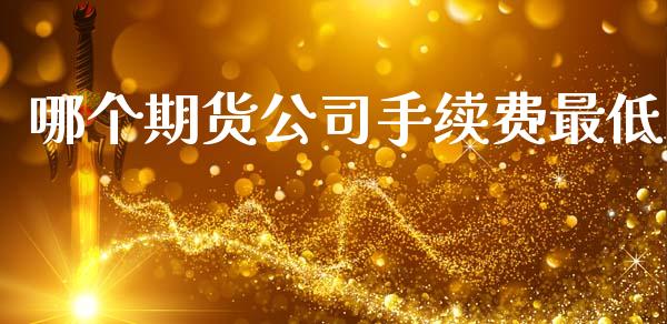 哪个期货公司手续费最低_https://www.qdlswl.com_直播_第1张