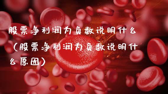 股票净利润为负数说明什么（股票净利润为负数说明什么原因）_https://www.qdlswl.com_股票_第1张