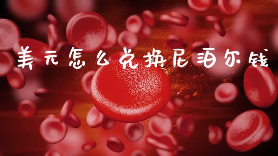 美元怎么兑换尼泊尔钱_https://www.qdlswl.com_内盘_第1张