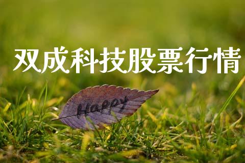 双成科技股票行情_https://www.qdlswl.com_股票_第1张