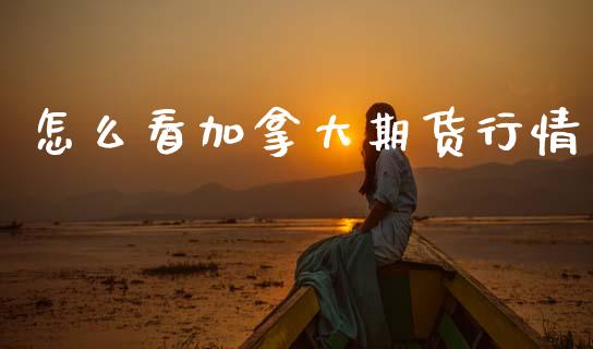 怎么看加拿大期货行情_https://www.qdlswl.com_股指_第1张