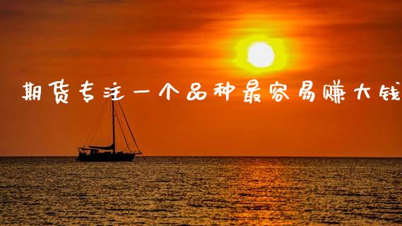 期货专注一个品种最容易赚大钱_https://www.qdlswl.com_期货_第1张