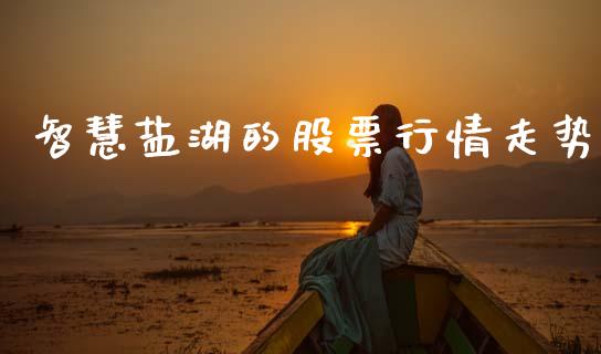智慧盐湖的股票行情走势_https://www.qdlswl.com_股票_第1张