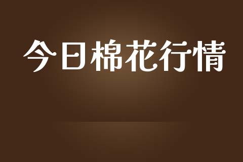 今日棉花行情_https://www.qdlswl.com_股指_第1张