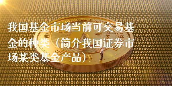 我国基金市场当前可交易基金的种类（简介我国证券市场某类基金产品）_https://www.qdlswl.com_基金_第1张
