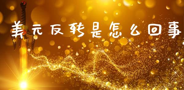 美元反转是怎么回事_https://www.qdlswl.com_基金_第1张