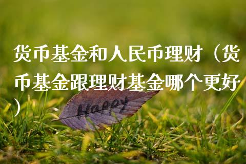 货币基金和人民币理财（货币基金跟理财基金哪个更好）_https://www.qdlswl.com_理财_第1张