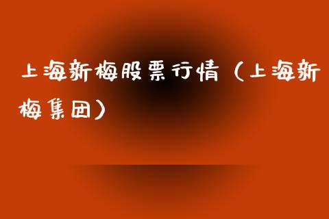 上海新梅股票行情（上海新梅集团）_https://www.qdlswl.com_外盘_第1张