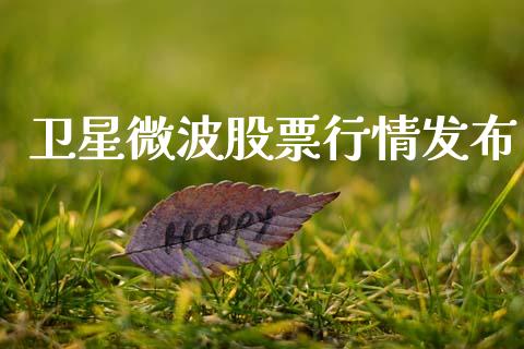 卫星微波股票行情发布_https://www.qdlswl.com_外盘_第1张