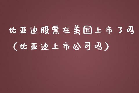比亚迪股票在美国上市了吗（比亚迪上市公司吗）_https://www.qdlswl.com_外盘_第1张