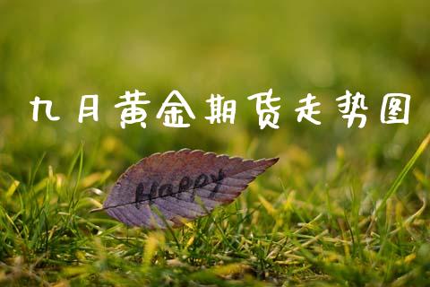 九月黄金期货走势图_https://www.qdlswl.com_期货_第1张
