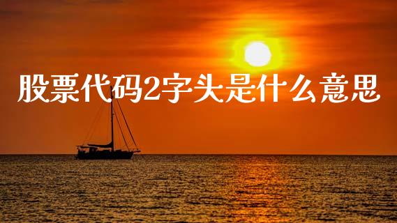 股票代码2字头是什么意思_https://www.qdlswl.com_股票_第1张