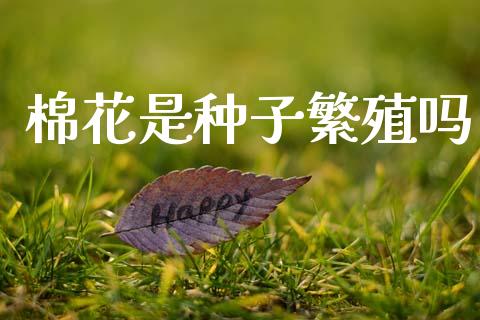 棉花是种子繁殖吗_https://www.qdlswl.com_期货_第1张