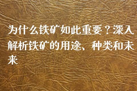 为什么铁矿如此重要？深入解析铁矿的用途、种类和未来_https://www.qdlswl.com_期货_第1张