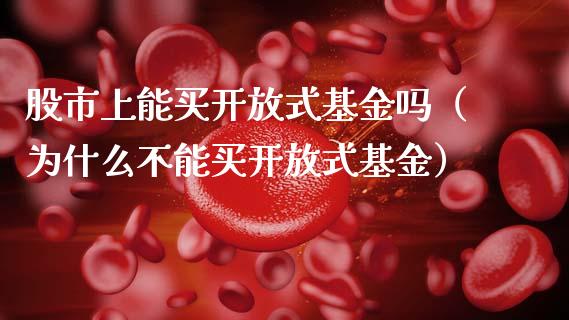 股市上能买开放式基金吗（为什么不能买开放式基金）_https://www.qdlswl.com_理财_第1张