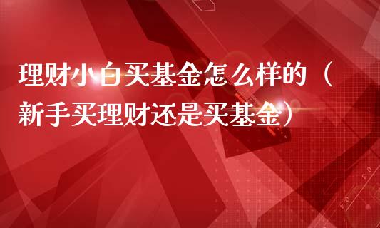理财小白买基金怎么样的（新手买理财还是买基金）_https://www.qdlswl.com_基金_第1张