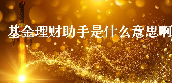 基金理财助手是什么意思啊_https://www.qdlswl.com_理财_第1张
