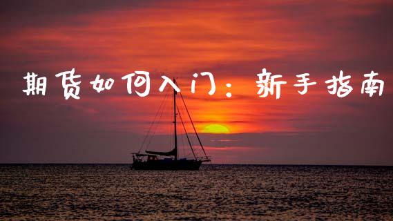 期货如何入门：新手指南_https://www.qdlswl.com_外盘_第1张