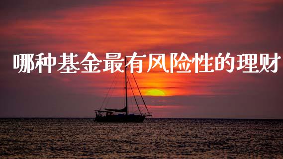 哪种基金最有风险性的理财_https://www.qdlswl.com_基金_第1张