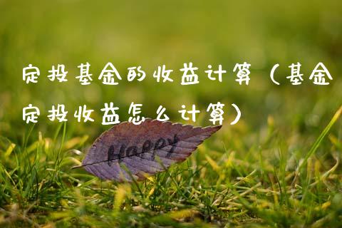定投基金的收益计算（基金定投收益怎么计算）_https://www.qdlswl.com_基金_第1张