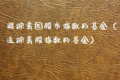 跟踪美国股市指数的基金（追踪美股指数的基金）_https://www.qdlswl.com_基金_第1张