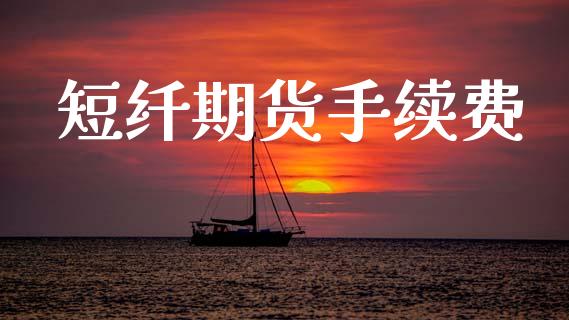 短纤期货手续费_https://www.qdlswl.com_股指_第1张