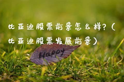 比亚迪股票前景怎么样?（比亚迪股票发展前景）_https://www.qdlswl.com_内盘_第1张
