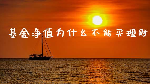 基金净值为什么不能买理财_https://www.qdlswl.com_理财_第1张