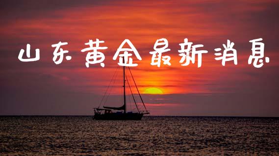 山东黄金最新消息_https://www.qdlswl.com_股指_第1张