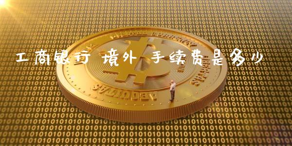 工商银行 境外 手续费是多少_https://www.qdlswl.com_内盘_第1张
