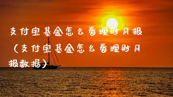 支付宝基金怎么看理财月报（支付宝基金怎么看理财月报数据）_https://www.qdlswl.com_理财_第1张
