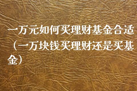 一万元如何买理财基金合适（一万块钱买理财还是买基金）_https://www.qdlswl.com_基金_第1张