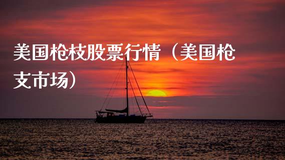 美国枪枝股票行情（美国枪支市场）_https://www.qdlswl.com_股票_第1张