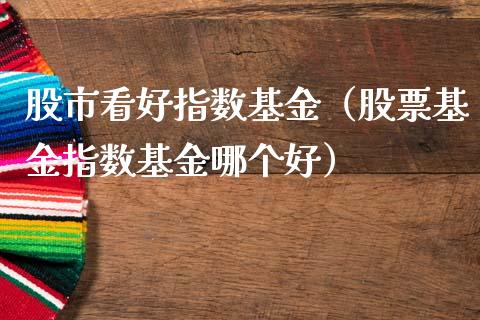 股市看好指数基金（股票基金指数基金哪个好）_https://www.qdlswl.com_基金_第1张