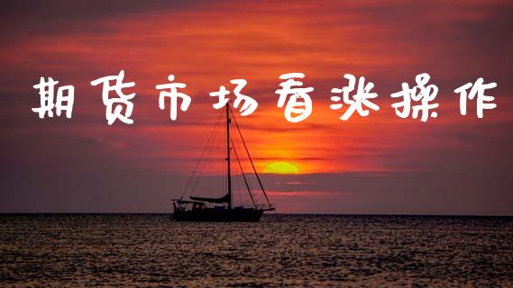 期货市场看涨操作_https://www.qdlswl.com_外盘_第1张