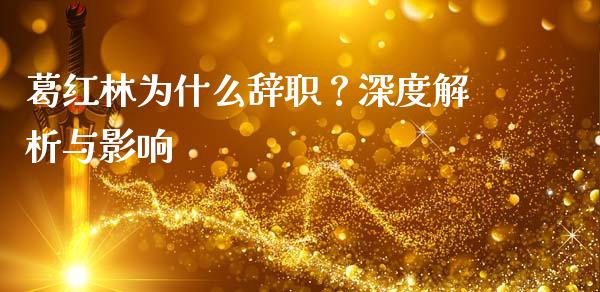 葛红林为什么辞职？深度解析与影响_https://www.qdlswl.com_直播_第1张