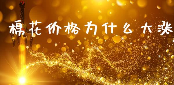 棉花价格为什么大涨_https://www.qdlswl.com_股指_第1张
