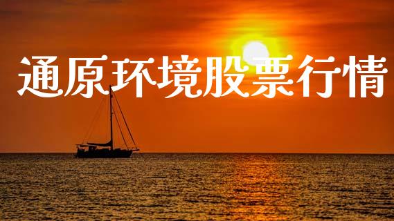 通原环境股票行情_https://www.qdlswl.com_外盘_第1张
