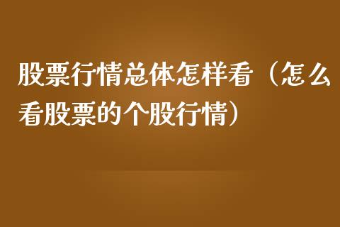 股票行情总体怎样看（怎么看股票的个股行情）_https://www.qdlswl.com_内盘_第1张