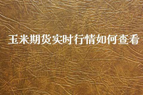 玉米期货实时行情如何查看_https://www.qdlswl.com_直播_第1张
