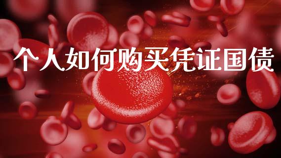 个人如何购买凭证国债_https://www.qdlswl.com_外盘_第1张