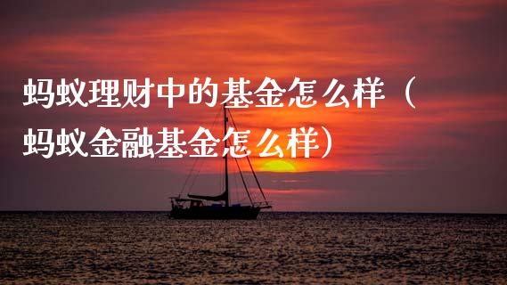 蚂蚁理财中的基金怎么样（蚂蚁金融基金怎么样）_https://www.qdlswl.com_基金_第1张