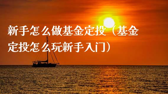 新手怎么做基金定投（基金定投怎么玩新手入门）_https://www.qdlswl.com_基金_第1张