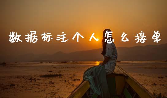 数据标注个人怎么接单_https://www.qdlswl.com_直播_第1张