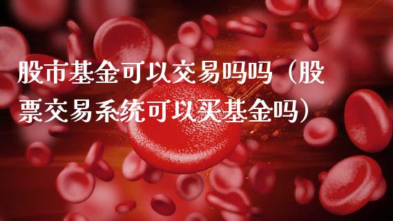 股市基金可以交易吗吗（股票交易系统可以买基金吗）_https://www.qdlswl.com_理财_第1张